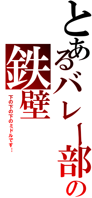 とあるバレー部の鉄壁（下の下の下のミドルです…）