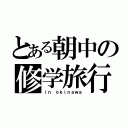 とある朝中の修学旅行（ｉｎ ｏｋｉｎａｗａ）