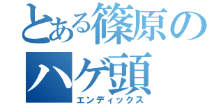 とある篠原のハゲ頭（エンディックス）