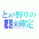 とある野草の未来確定（アトラクタフィールド）