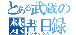 とある武蔵の禁書目録（インデックス）