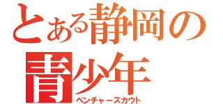 とある静岡の青少年（ベンチャースカウト）