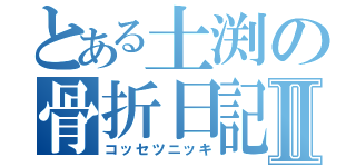 とある土渕の骨折日記Ⅱ（コッセツニッキ）