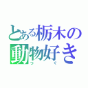 とある栃木の動物好き（つぐ）