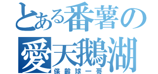 とある番薯の愛天鵝湖（保齡球一哥）