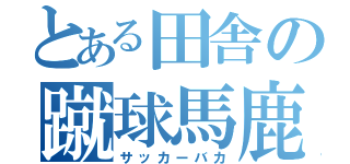 とある田舎の蹴球馬鹿（サッカーバカ）