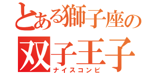 とある獅子座の双子王子（ナイスコンビ）