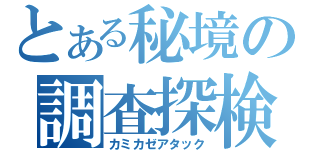 とある秘境の調査探検（カミカゼアタック）