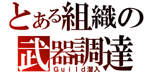 とある組織の武器調達（Ｇｕｉｌｄ潜入）