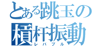 とある跳玉の槓杆振動（レバブル）