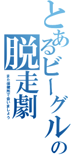 とあるビーグルの脱走劇（また保健所で会いましょう）