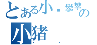 とある小鸡攀攀の小猪（贝贝）