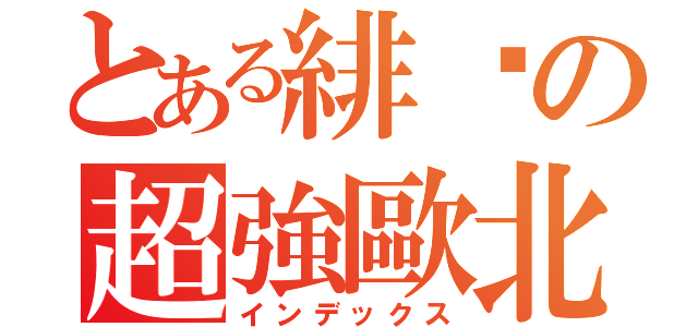 とある緋淚の超強歐北共（インデックス）