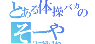 とある体操バカのそーや（バレーも凄いぞえｗ）