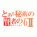 とある秘術の賢者の石Ⅱ（ホムンクルス）