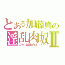 とある加藤鷹の淫乱肉奴隷Ⅱ（この、雌豚がぁ！）