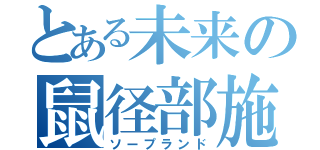 とある未来の鼠径部施術（ソープランド）