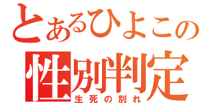 とあるひよこの性別判定（生死の別れ）