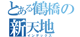 とある鶴橋の新天地（インデックス）