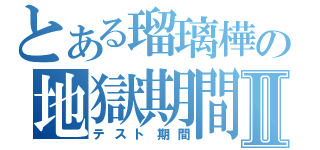 とある瑠璃樺の地獄期間Ⅱ（テスト期間）