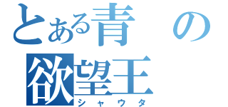 とある青の欲望王（シャウタ）