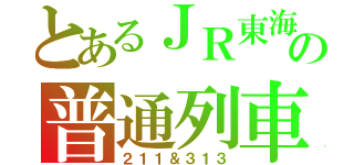 とあるＪＲ東海の普通列車（２１１＆３１３）