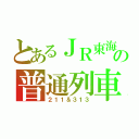 とあるＪＲ東海の普通列車（２１１＆３１３）