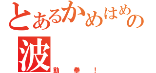 とあるかめはめの波（動拳！）