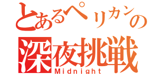 とあるペリカンの深夜挑戦（Ｍｉｄｎｉｇｈｔ）