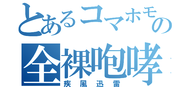 とあるコマホモの全裸咆哮（疾風迅雷）