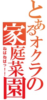 とあるオクラの家庭菜園（ねばねばっ！！）