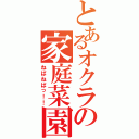 とあるオクラの家庭菜園（ねばねばっ！！）