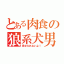 とある肉食の狼系犬男子（見せられないよ！）