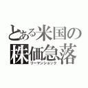 とある米国の株価急落（リーマンショック）