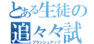 とある生徒の追々々試（ブラッシュアップ）