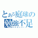 とある庭球の勉強不足（ハイザッパー）