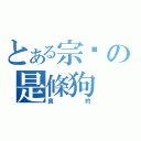 とある宗彥の是條狗（真的）