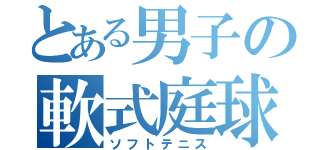 とある男子の軟式庭球（ソフトテニス）