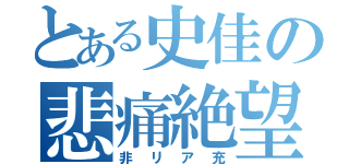 とある史佳の悲痛絶望（非リア充）