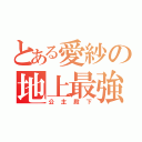 とある愛紗の地上最強（公主殿下）