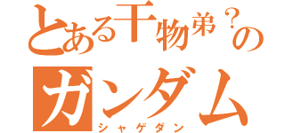 とある干物弟？のガンダムゲー（シャゲダン）