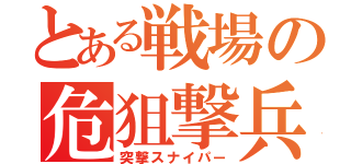 とある戦場の危狙撃兵（突撃スナイパー）