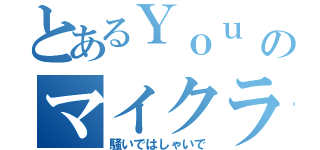 とあるＹｏｕ Ｔｕｂｅｒのマイクラ実況（騒いではしゃいで）