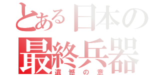 とある日本の最終兵器（遺憾の意）