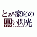 とある家庭の黒い閃光（コックローチ）