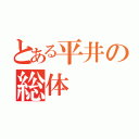 とある平井の総体（ ）