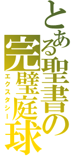 とある聖書の完璧庭球（エクスタシー）