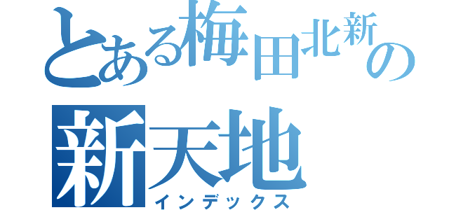 とある梅田北新地の新天地（インデックス）