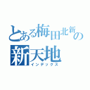 とある梅田北新地の新天地（インデックス）