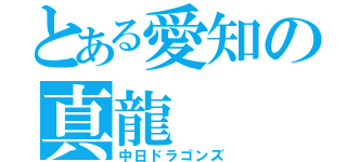 とある愛知の真龍（中日ドラゴンズ）